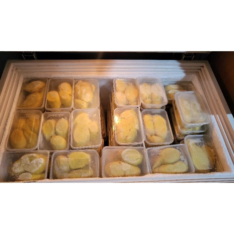 

Durian Montong PALU PREMIUM QUALITY