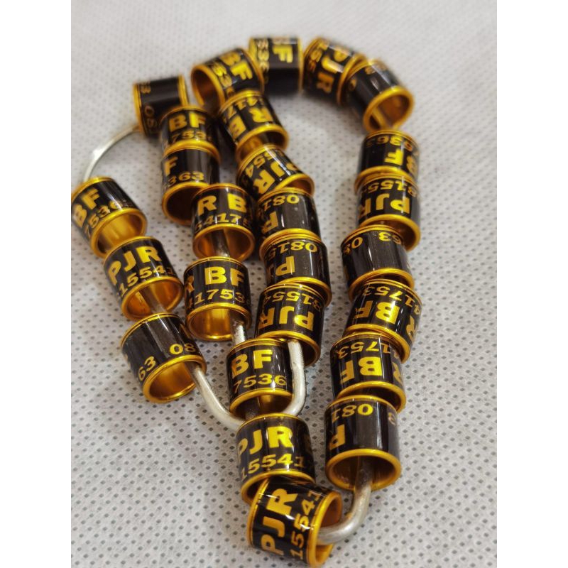 RING BURUNG MODEL RODA TRANSPARAN BUAT MERPATI