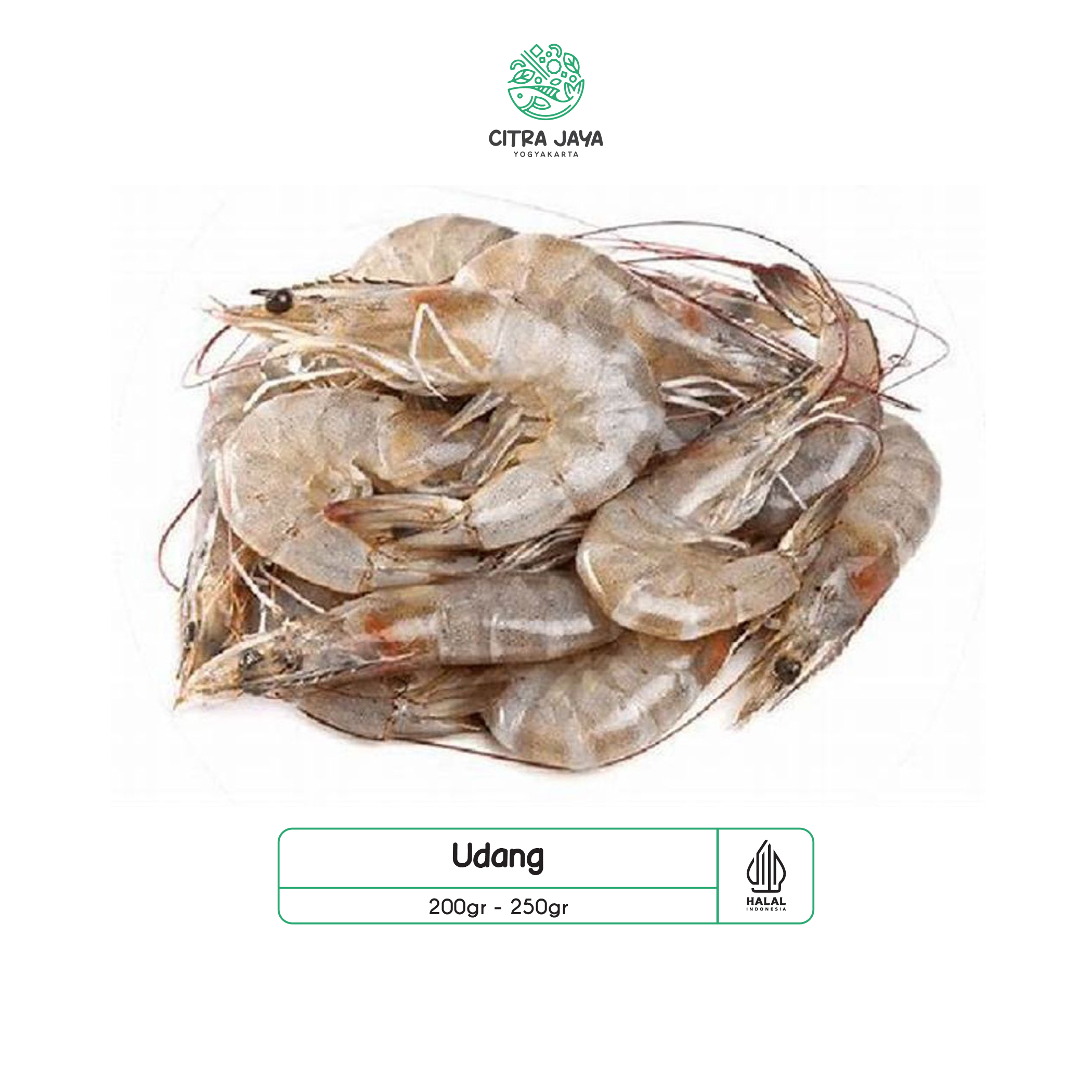 

Udang Segar 250g - Citra Jaya Yogyakarta