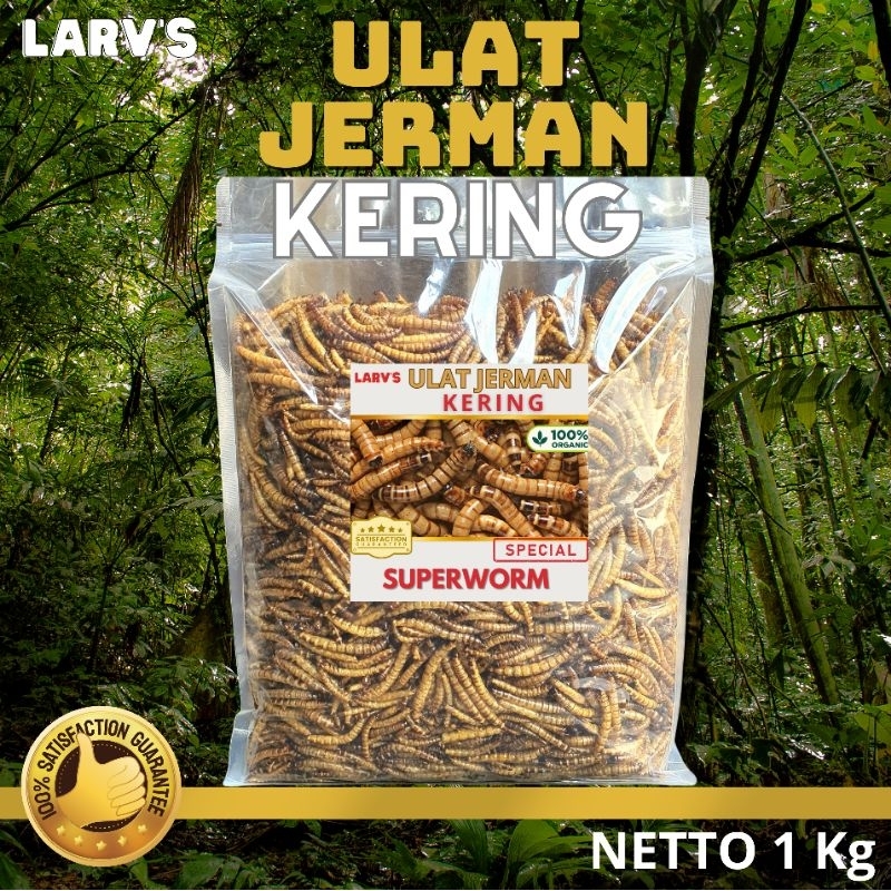 Ulat Jerman Kering 1kg Snack Ikan Arowana LARV'S