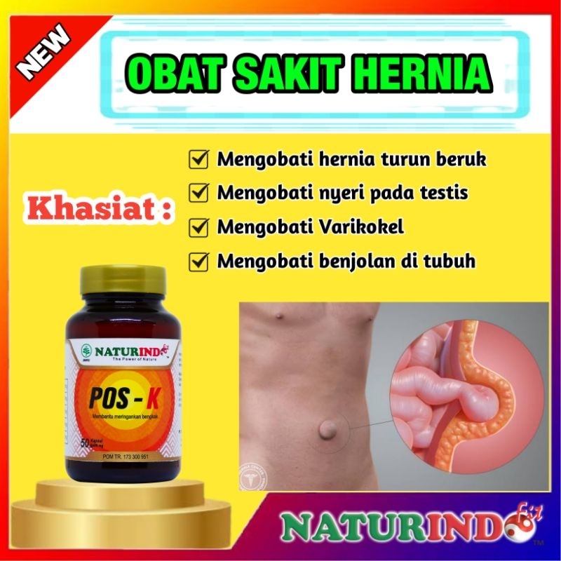 OBAT HERNIA HERBAL NATURINDO 40 KAPSUL ORIGINAL TANPA OPERASI POS K Ash shihhah
