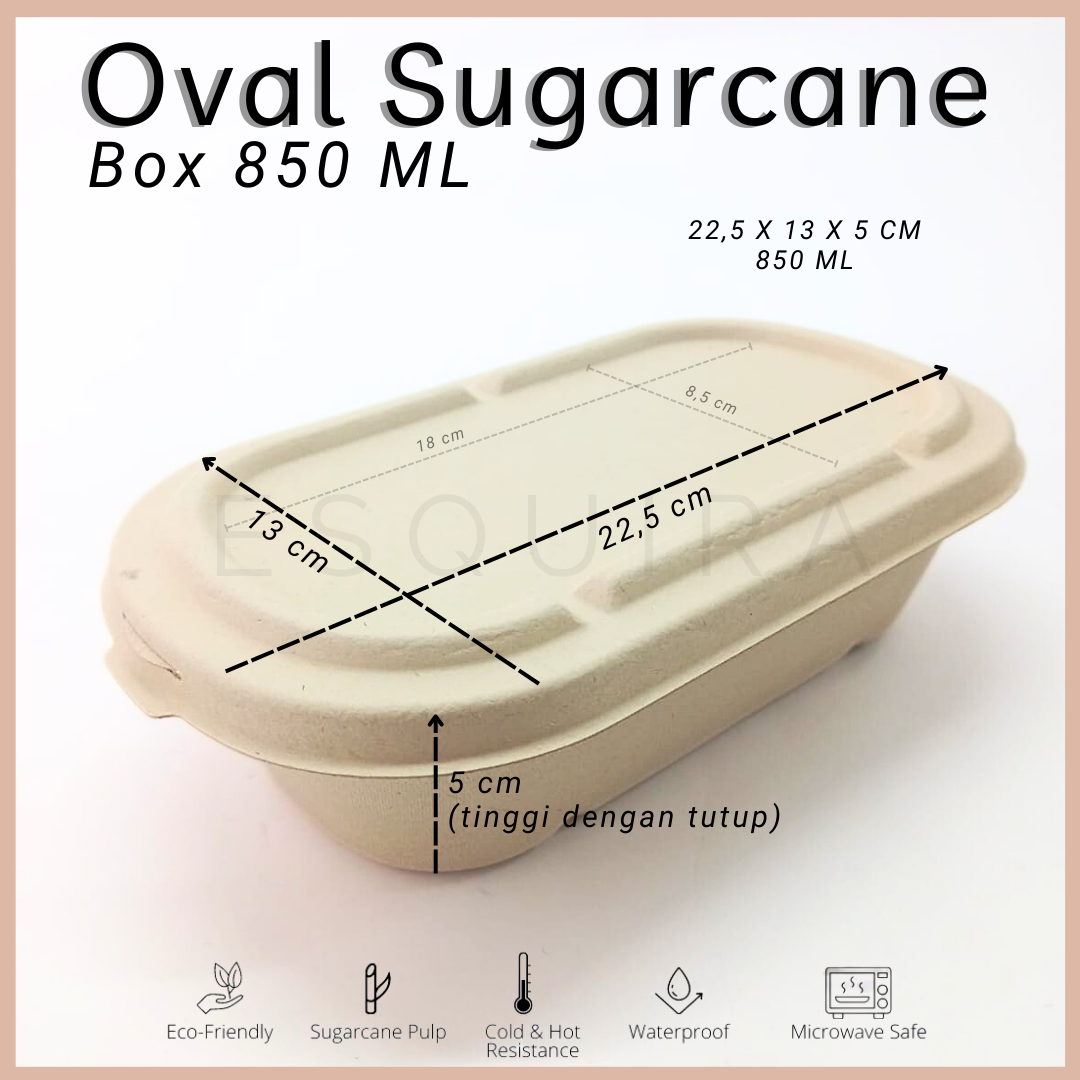 Oval Sugarcane Box 850 ML / Lunch Box 10 Pcs + Lid / TAB850