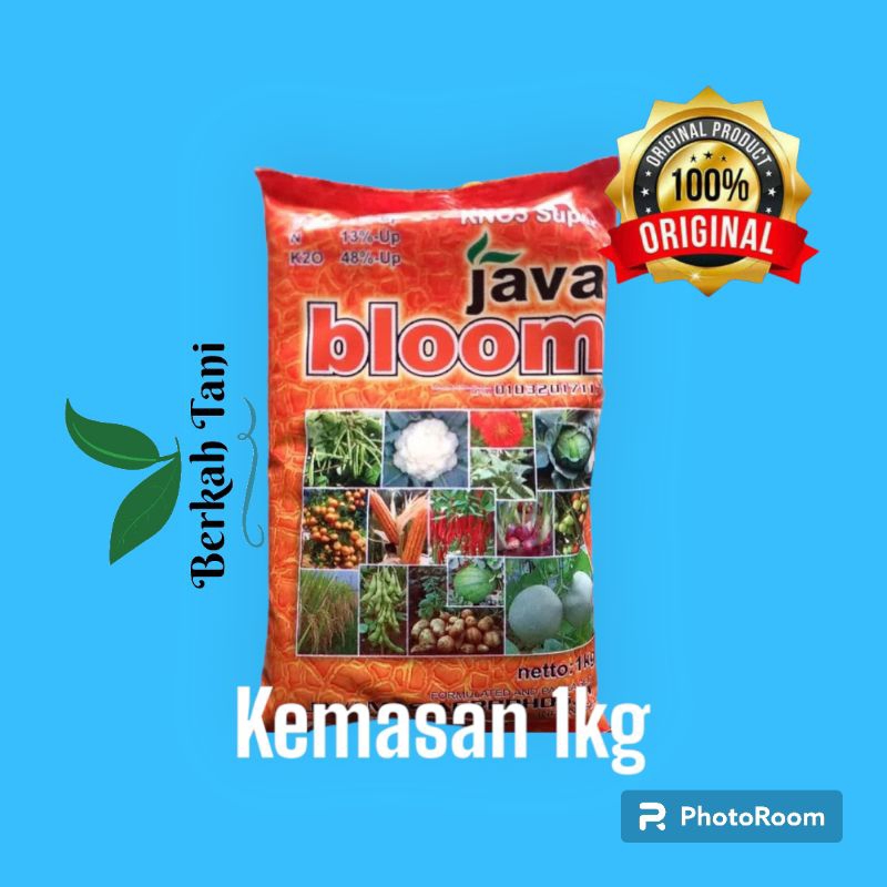 pupuk KNO Super JAVA BLOOM KNO SUPER Original