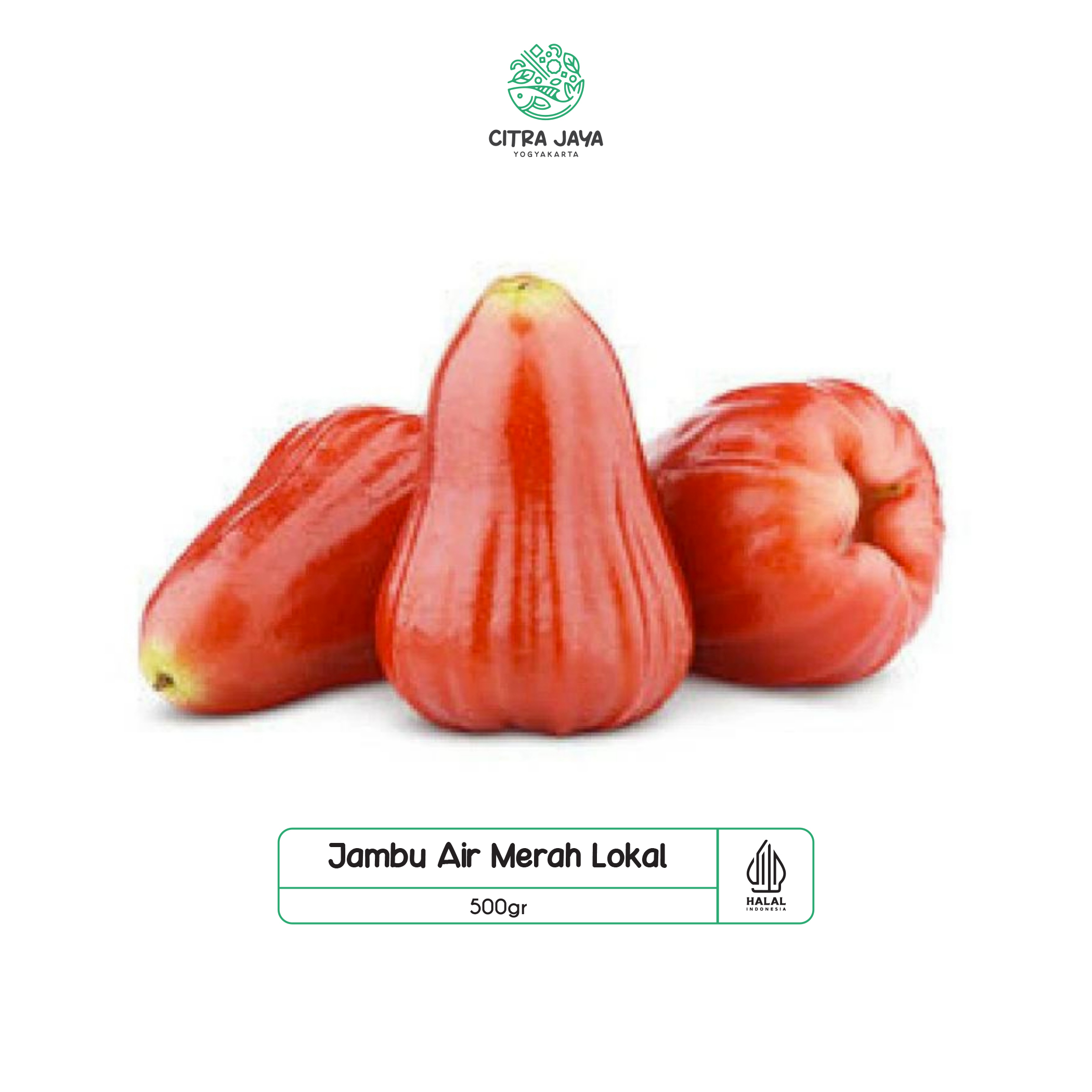 

Jambu Air Merah 500g - Citra Jaya Yogyakarta