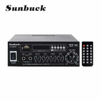 Amplifier 2.0 Channel BT5.0 Audio Home Car Theater Amplifier 110V/220V Mendukung EQ FM SD USB 2 Mic 