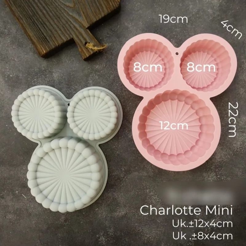 CHARLOTTE SILICON - MINI