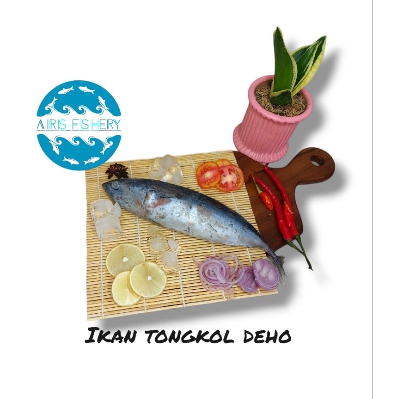 

Ikan tongkol deho/ deho beku 1kg