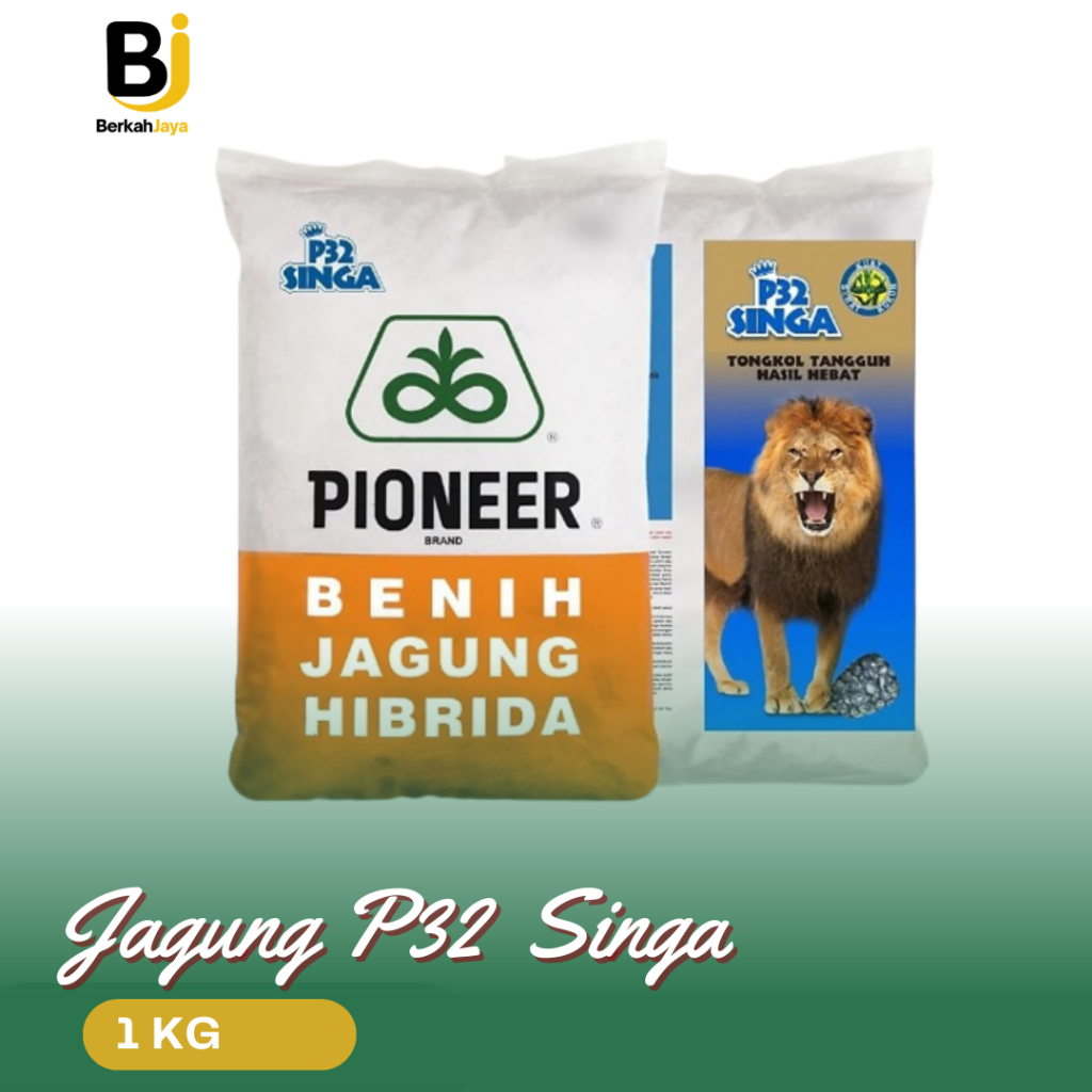 BENIH JAGUNG PIONER P32 SINGA 1 KG / P 32 Singa