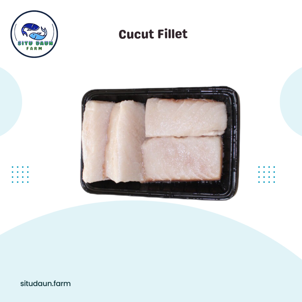 

Ikan Cucut Fillet 1 Kg (Murah)