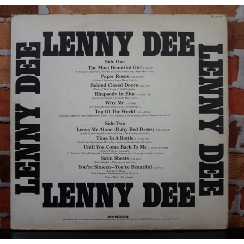 Vinyl Piringan Hitam 12 inch Lenny Lee