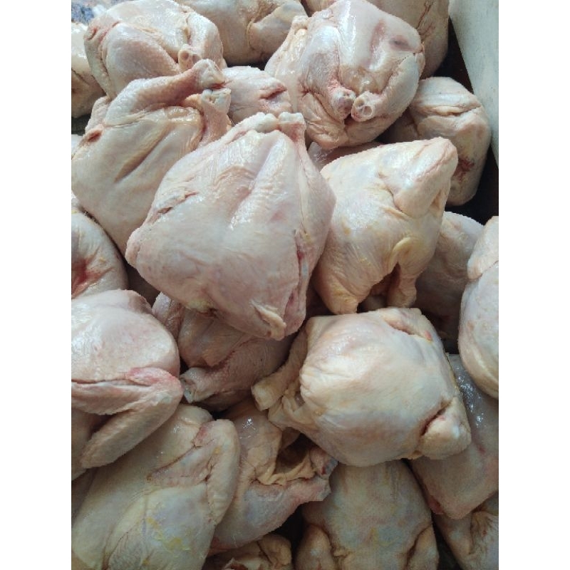 

Ayam karkas 0.8 - 0.9