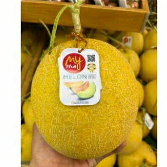 Melon Intahnon Manis & Wangi | Buah Melon Intahnon Jepang | pcs