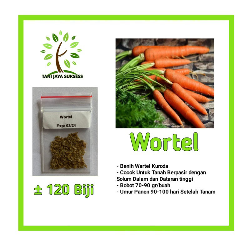 90 Benih Wortel Benih Wortel Unggul Berkualitas Bibit Wortel Unggul