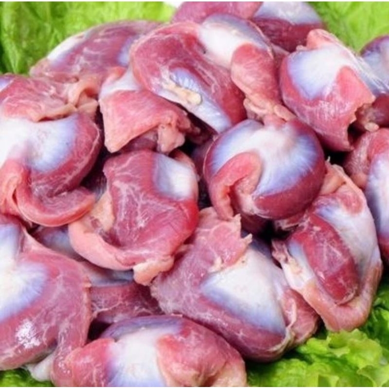 

AMPELA AYAM KAMPUNG ISI 10 PCS (10 buah)