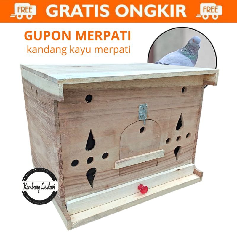 GUPON PAGUPON MERPATI DARA KANDANG MERPATI KAYU