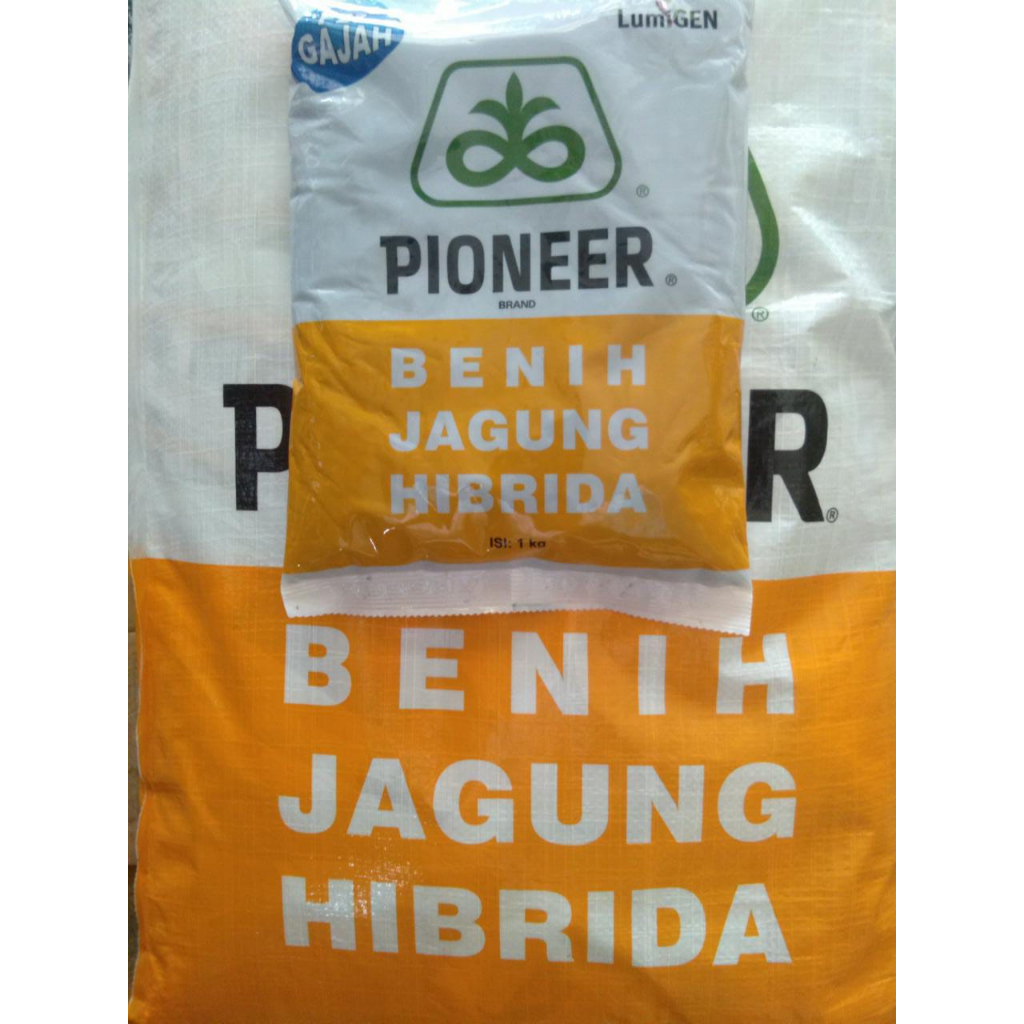 BENIH JAGUNG HIBRIDA PIONEER GAJAH