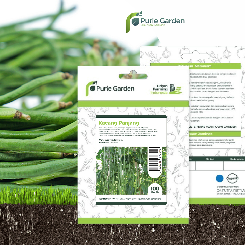 Bibit Benih Kacang Panjang Purie Garden 100 Benih PG SBY