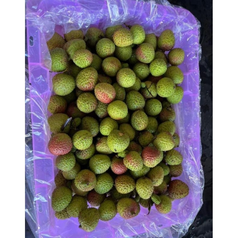 

Buah Leci Impor / Lechy Import / Lychee Import - Dijamin Manis (Khusus Gojek - Grab)