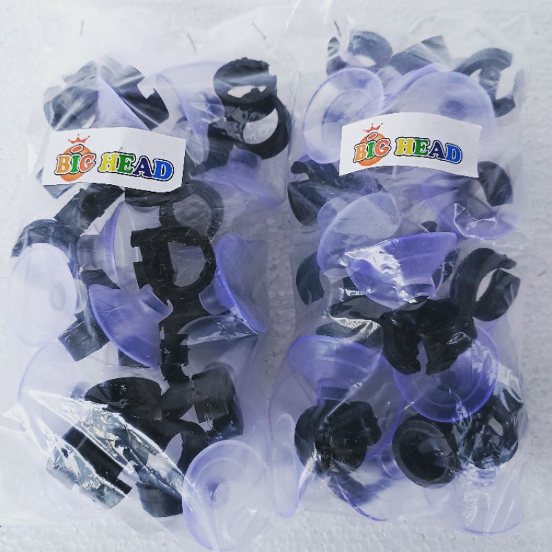 DOP PIPA AQUARIUM BIG HEAD cop pipa akuarium