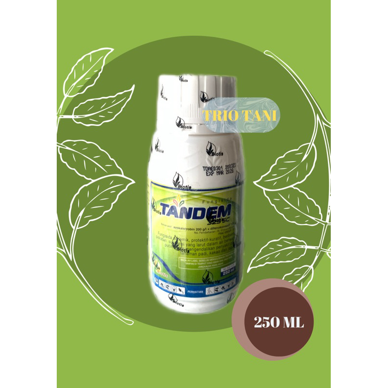 FUNGISIDA TANDEM 325 SC