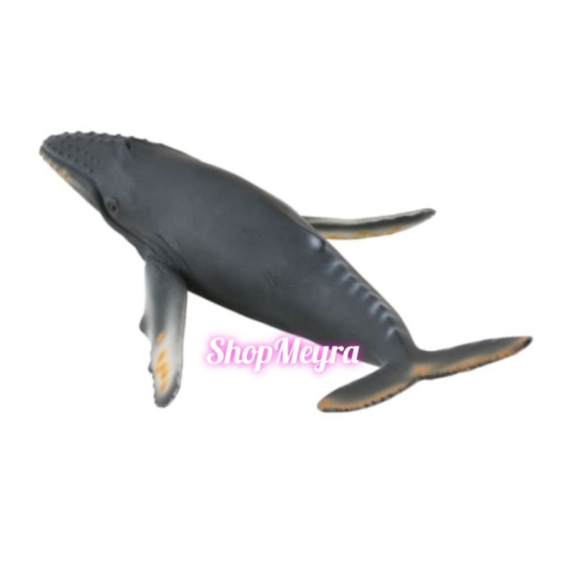 Collecta Figure Animal Sea Humpback Whale