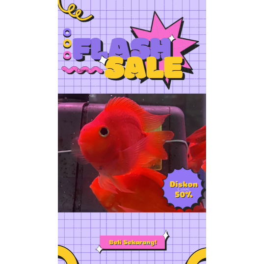 Red Perrot 3-4 Jari Full Merah