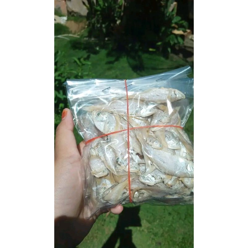 

LENTRING / BULU AYAM