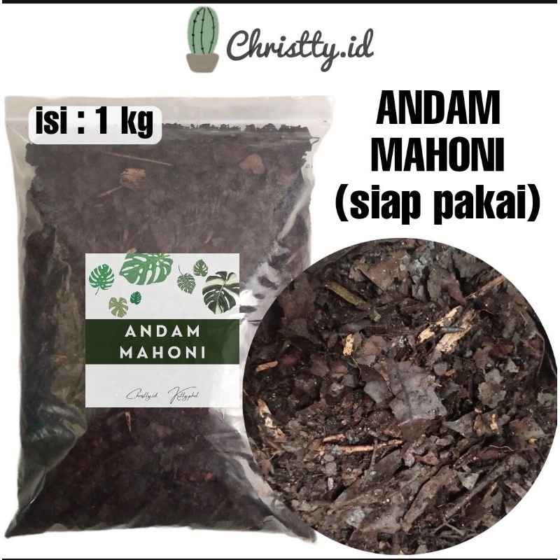 Media Tanam Andam Mahoni / Humus Daun / Humus Hutan / Media Tanam