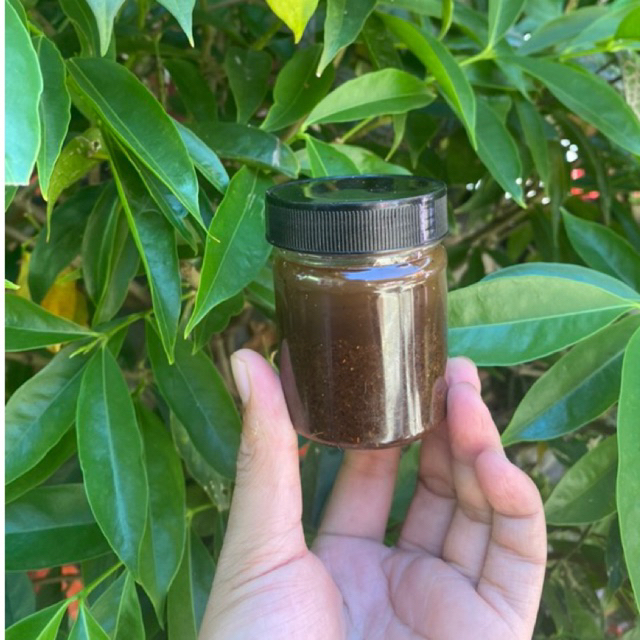 

Ombu-Ombu Kelapa Sangrai & Rempah Bumbu Daging 100GR Kemasan Botol