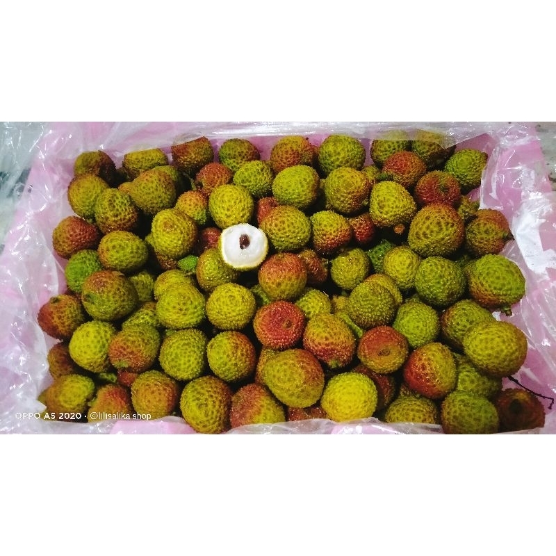 BUAH LECI MADU/LECI MERAH MANIS