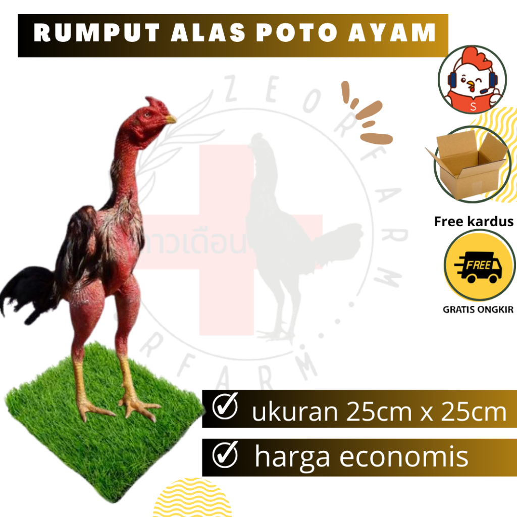 alas poto ayam kucing dan lainya model rumput zeorfarm