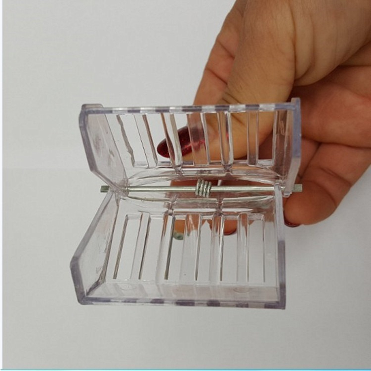 Kurungan Queen Bee Model Catokan Warna Putih kandang lebah madu furniture hewan