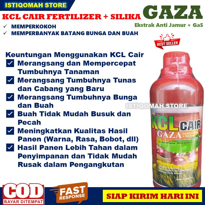 Pupuk Pelebat Bunga dan Buah Tomat KCL GAZA 500ML Pupuk KCL Cair Fertilizer + Silica Memperkokoh Memperbanyak Batang, Bunga dan Buah Tanaman Tomat yang Bagus dan Ampuh, Pupuk Cair Pelebat Bunga dan Buah Tomat Super Lebat TERLARIS