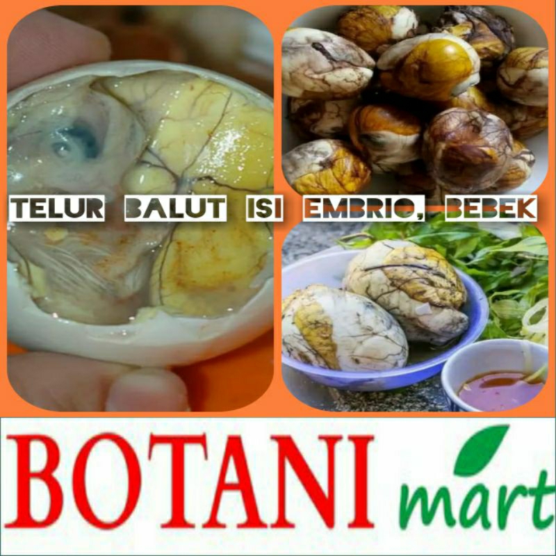 

telur balut bebek 8pcs