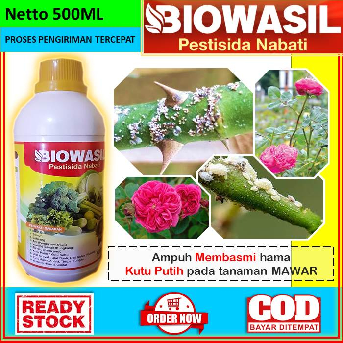 OBAT ANTI HAMA KUTU PUTIH UNTUK TANAMAN MAWAR [BIOWASIL] Obat Cair Pestisida Nabati Anti Hama 500ml 