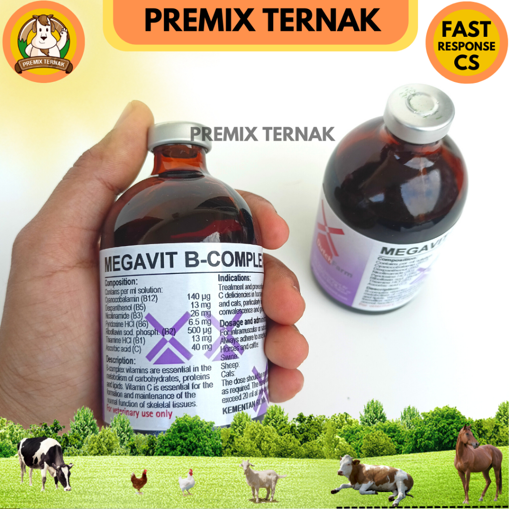 MEGAVIT B COMPLEX + VITAMIN C INJEKSI 100 ML