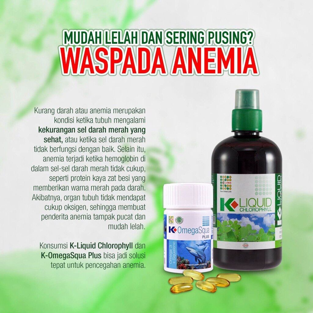 PAKET EKONOMIS KLOROFIL + OMEGA SQUA | MENCEGAH ANEMIA, KOLESTROL DLL