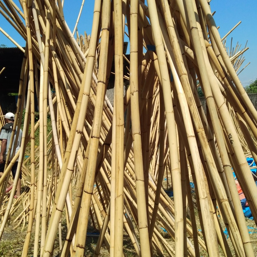 TOYA ROTAN KULIT DIAMETER 4 CM PANJANG 70 CM - TOYA ROTAN KULIT ALAMI - TOYA MANAO -  KAYU ROTAN