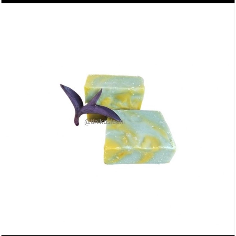 Mogal Sabun Talas Jepang Satoimo Daun Gamal