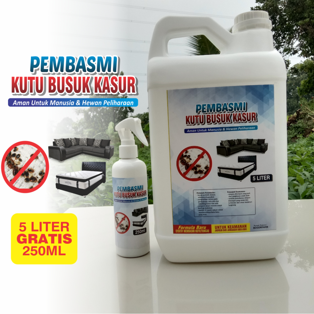 Spray Anti Kutu &amp; Serangga 5 Liter GRATIS 250ml / Kutu Busuk / Tungau / Kutu Kasur 100% Efektif Atau Uang Kembali