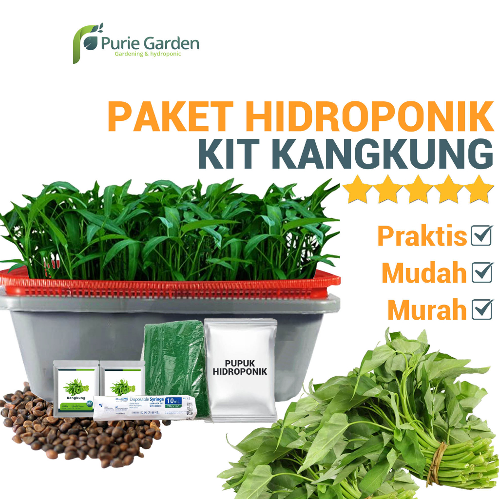 Kit Kangkung Hidroponik PG SBY