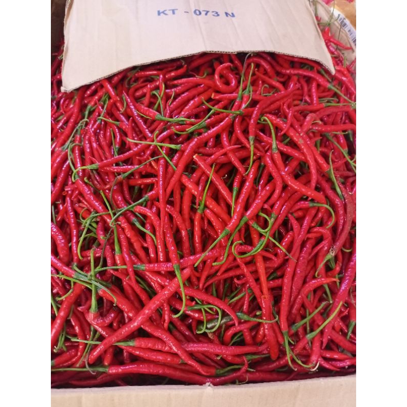 

cabe merah keriting / cabai merah keriting 500 gr