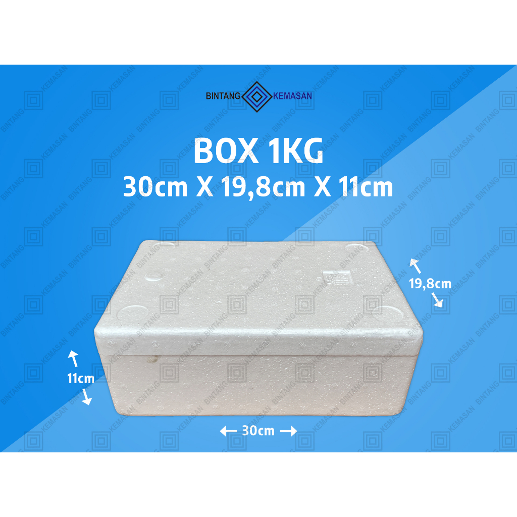 Styrofoam Box 1Kg 30 x 19,8 x 11cm/Box Ikan/Box Foam/Box Packing/Box Sterofoam