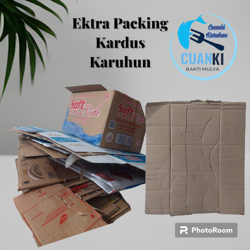

Ektra Packing Kardus