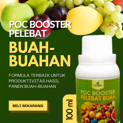 Pupuk Pelebat Buah dan Sayur / Pupuk Perangsang Pembuahan Bunga Daun Akar Bibit / Pupuk Pemacu Tumbu
