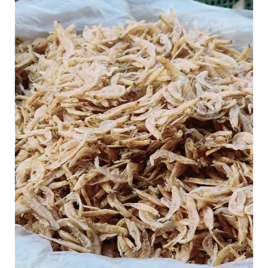 

Udang Rebon / Udang Grago BESAR