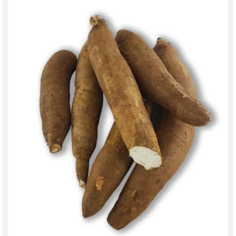 

singkong keju segar 1kg