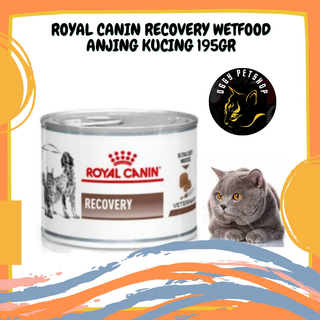 ROYAL CANIN RECOVERY WETFOOD ANJING KUCING 195GR