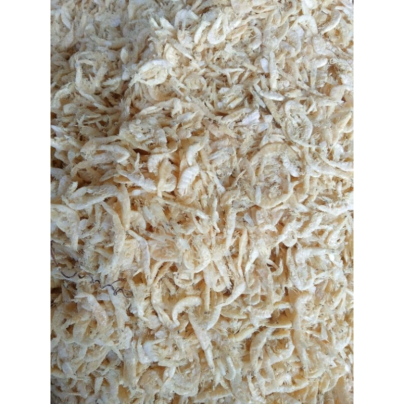

udang rebon