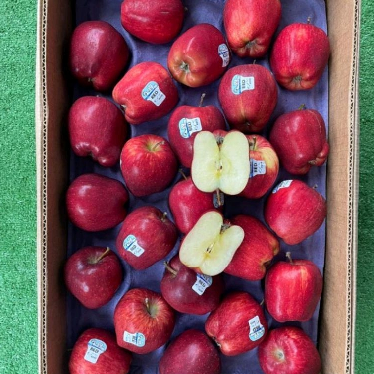 

Buah Apel Merah Washington Fresh / 1Kg